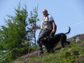 Pedigree CAIRN DU GRAND VALY