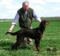 Pedigree FIELDTALK'S JURI'S JEFFREY