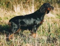 Pedigree JADE DE LA PIERRERIE