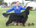 Pedigree TRISETER EBONIE ZENA WITH LAURELHACH