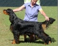 Pedigree TRISETER EBONIE ZEUS