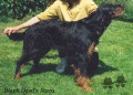 Pedigree BLACK DEVIL'S IKARA