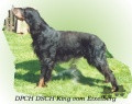 Pedigree KING VOM EIXELBERG