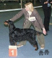 Pedigree TAROCK'S ELODIE